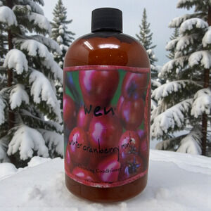 NEW Wen by Chaz Dean Winter Cranberry Mint Cleansing Conditioner Sealed 16 oz
